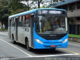 ANSAL - Auto Nossa Senhora de Aparecida 200 na cidade de Juiz de Fora, Minas Gerais, Brasil, por André Luiz Gomes de Souza. Número da foto: #5094469.