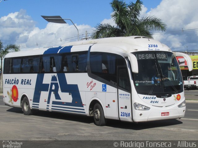 Falcão Real 23160 na cidade de Feira de Santana, Bahia, Brasil, por Rodrigo Fonseca. Número da foto: #5115690.