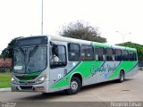 Cidade Verde Transporte Rodoviário 1315 na cidade de Maringá, Paraná, Brasil, por Rogério César. Número da foto: #5115781.