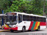 Viação Bom Jesus > VTL - Viação Trans Líder 303 na cidade de Cubatão, São Paulo, Brasil, por Adam Xavier Rodrigues Lima. Número da foto: #5116499.