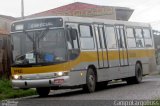 Transportes Coletivos Nossa Senhora da Piedade EP1623 na cidade de Campo Largo, Paraná, Brasil, por Alessandro Fracaro Chibior. Número da foto: #5121249.