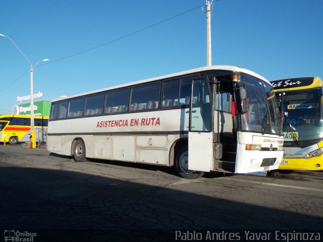 Tacoha ASSISTENCIA NA ROUTA na cidade de , por Pablo Andres Yavar Espinoza. Número da foto: #5124186.