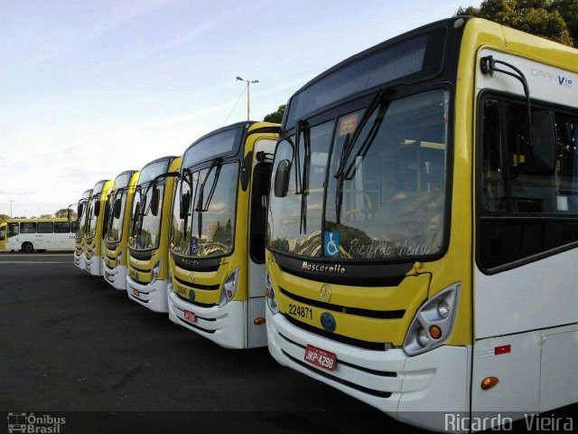 Viação Pioneira 224871 na cidade de Brasília, Distrito Federal, Brasil, por Ricardo Vieira. Número da foto: #5124552.