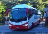 Empresa Reunidas Paulista de Transportes 145416 na cidade de São Paulo, São Paulo, Brasil, por Roberto Teixeira. Número da foto: #5126232.
