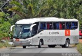Borborema Imperial Transportes 2116 na cidade de Recife, Pernambuco, Brasil, por Rodrigo S. G Busólogo do Brasil. Número da foto: #:id.