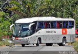 Borborema Imperial Transportes 2116 na cidade de Recife, Pernambuco, Brasil, por Rodrigo S. G Busólogo do Brasil. ID da foto: :id.