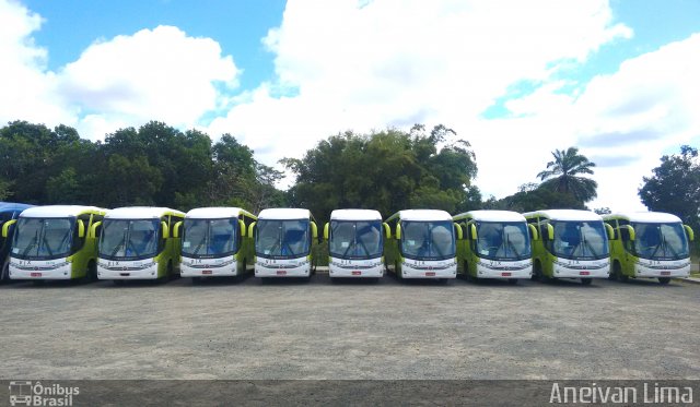 VIX Transporte e Logística 24770 na cidade de Camaçari, Bahia, Brasil, por Aneivan Lima. Número da foto: #5129444.