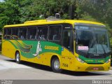 Expresso Caxiense 7356 na cidade de São Paulo, São Paulo, Brasil, por Diego Leão. Número da foto: #5130198.