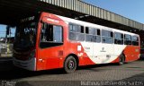 Itajaí Transportes Coletivos 2995 na cidade de Campinas, São Paulo, Brasil, por Matheus Gabriel dos Santos. Número da foto: #5132603.