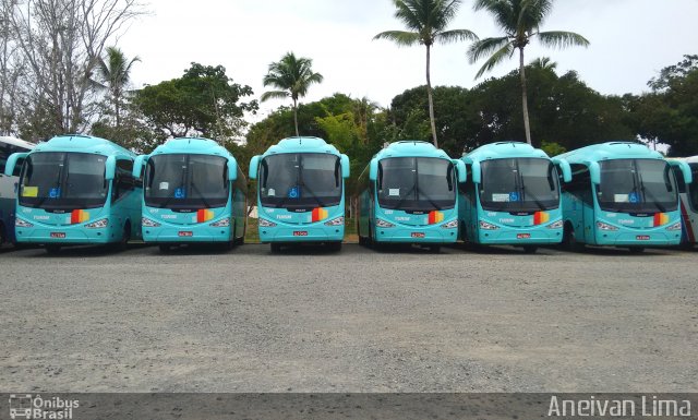 Turim Transportes e Serviços FROTA na cidade de Camaçari, Bahia, Brasil, por Aneivan Lima. Número da foto: #5095582.