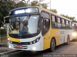 Allibus Transportes 4 5068 na cidade de São Paulo, São Paulo, Brasil, por Vinicius Oliveira Nascimento. Número da foto: #5138973.