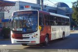 Transwolff Transportes e Turismo 7 8714 na cidade de São Paulo, São Paulo, Brasil, por Roberto Teixeira. Número da foto: #5142764.