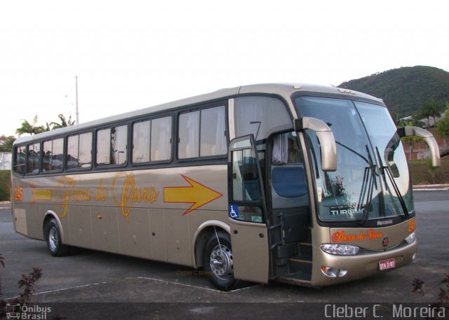 Flexa de Ouro 245 na cidade de Poços de Caldas, Minas Gerais, Brasil, por Cleber C.  Moreira. ID da foto: 5144445.