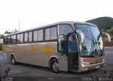 Flexa de Ouro 245 na cidade de Poços de Caldas, Minas Gerais, Brasil, por Cleber C.  Moreira. Número da foto: #5144445.