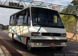 Ônibus Particulares 223 na cidade de Conselheiro Lafaiete, Minas Gerais, Brasil, por Rodrigo  Aparecido. Número da foto: #5146672.