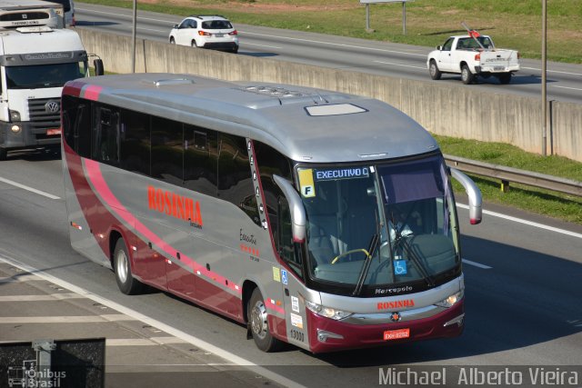 Rosinha Turismo 13000 na cidade de Barueri, São Paulo, Brasil, por Michael  Alberto Vieira. Número da foto: #5150125.