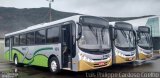 Turin Transportes 185 na cidade de Ouro Branco, Minas Gerais, Brasil, por Luis Philippe Cardoso Coelho. Número da foto: #5147653.