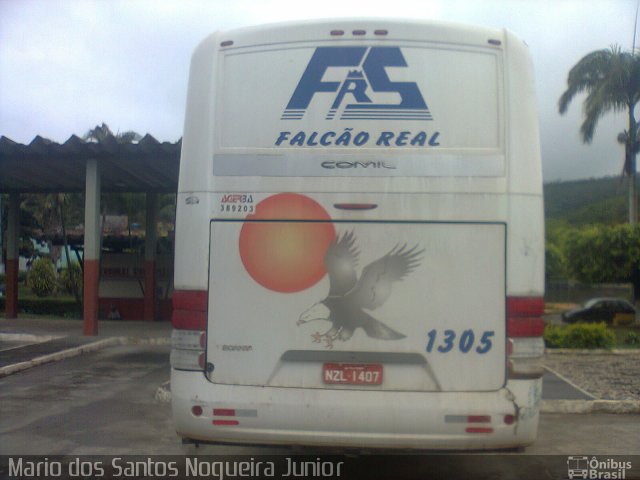 Falcão Real 1305 na cidade de Mundo Novo, Bahia, Brasil, por Mario dos Santos Nogueira Junior. ID da foto: 5150648.