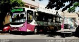 Transportadora São José BG-32321 na cidade de Belém, Pará, Brasil, por Carlos Jorge N.  de Castro. Número da foto: #5153737.