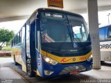 Coletivo Transportes 1011 na cidade de Palmares, Pernambuco, Brasil, por Josivaldo Oliveira. Número da foto: #:id.