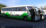 Turismo e Fretamento Orion Transportes 3300 na cidade de São Paulo, São Paulo, Brasil, por Ricardo Marcelino. Número da foto: #:id.
