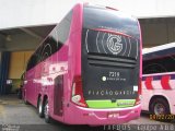 Viação Garcia 7219 na cidade de Sorocaba, São Paulo, Brasil, por Flavio Alberto Fernandes. Número da foto: #5097441.