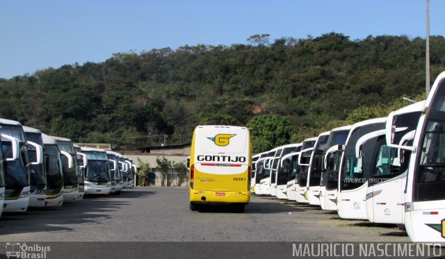 Empresa Gontijo de Transportes 11810 na cidade de Belo Horizonte, Minas Gerais, Brasil, por Maurício Nascimento. Número da foto: #5162291.