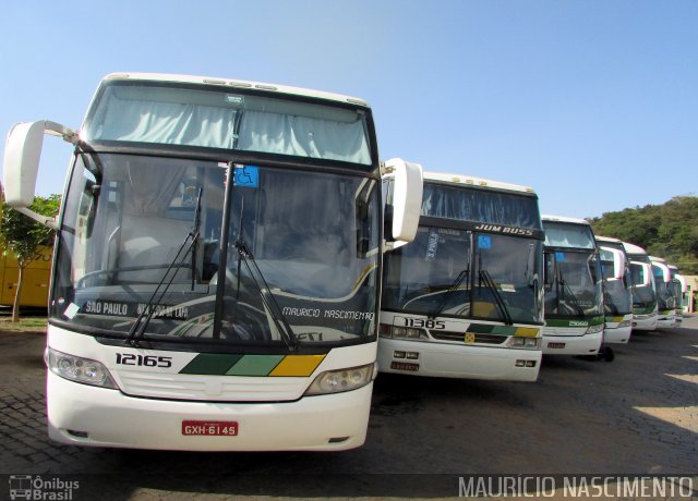 Empresa Gontijo de Transportes 12165 na cidade de Belo Horizonte, Minas Gerais, Brasil, por Maurício Nascimento. Número da foto: #5162288.