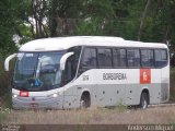 Borborema Imperial Transportes 2256 na cidade de Recife, Pernambuco, Brasil, por Anderson Miguel. Número da foto: #:id.
