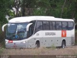 Borborema Imperial Transportes 2256 na cidade de Recife, Pernambuco, Brasil, por Anderson Miguel. ID da foto: :id.