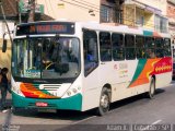 Viação Bom Jesus > VTL - Viação Trans Líder 1333 na cidade de Cubatão, São Paulo, Brasil, por Adam Xavier Rodrigues Lima. Número da foto: #5100215.