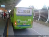 Empresa Dois Irmãos 03072 na cidade de Teresina, Piauí, Brasil, por Lucas Gabriel. Número da foto: #5102283.