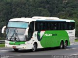 Pássaro Verde 27002 na cidade de Petrópolis, Rio de Janeiro, Brasil, por Rafael da Silva Xarão. Número da foto: #:id.