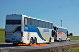 Grecco Tur 1638 na cidade de Sorocaba, São Paulo, Brasil, por EDUARDO - SOROCABUS. Número da foto: #5102633.