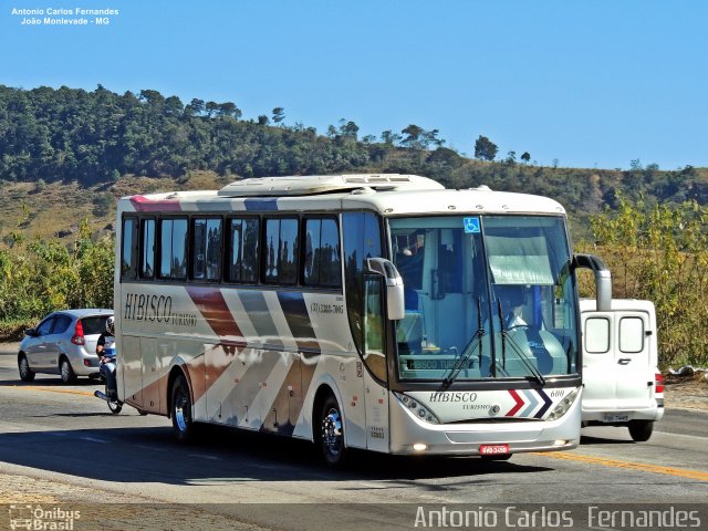 Hibisco Turismo 600 na cidade de João Monlevade, Minas Gerais, Brasil, por Antonio Carlos Fernandes. Número da foto: #5109192.