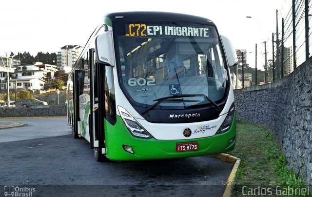 Visate - Viação Santa Tereza 602 na cidade de Caxias do Sul, Rio Grande do Sul, Brasil, por Carlos Gabriel. Número da foto: #5185217.