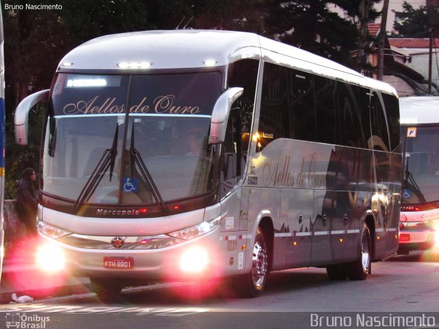 Bia Turismo > Aellos de Ouro 8221 na cidade de São Paulo, São Paulo, Brasil, por Bruno Nascimento. Número da foto: #5187565.