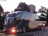 Bia Turismo > Aellos de Ouro 8217 na cidade de São Paulo, São Paulo, Brasil, por Bruno Nascimento. Número da foto: #5187579.
