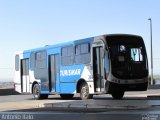 Turismar Transporte e Turismo 264 na cidade de Marília, São Paulo, Brasil, por Antonio Italo. Número da foto: #5187989.