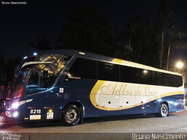 Bia Turismo > Aellos de Ouro 8218 na cidade de São Paulo, São Paulo, Brasil, por Bruno Nascimento. Número da foto: #5191306.