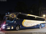 Bia Turismo > Aellos de Ouro 8218 na cidade de São Paulo, São Paulo, Brasil, por Bruno Nascimento. Número da foto: #5191306.