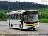 Ônibus Particulares 3310 na cidade de João Monlevade, Minas Gerais, Brasil, por Antonio Carlos Fernandes. Número da foto: #5195679.