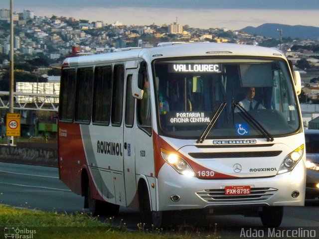 Rouxinol 1630 na cidade de Belo Horizonte, Minas Gerais, Brasil, por Adão Raimundo Marcelino. Número da foto: #5198445.
