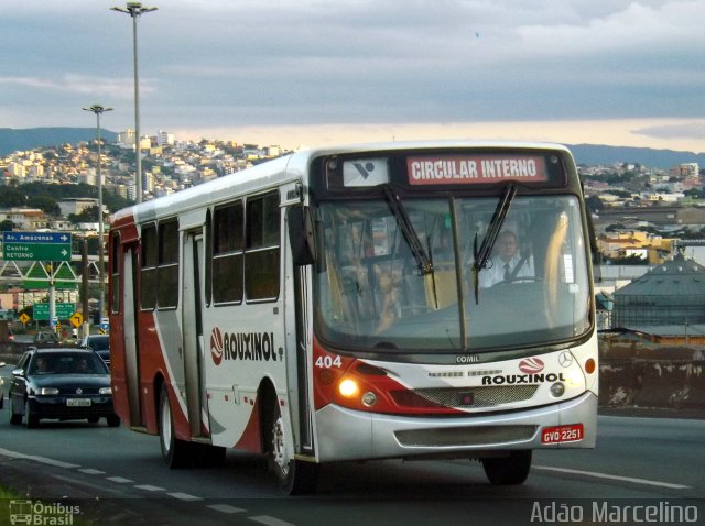 Rouxinol 404 na cidade de Belo Horizonte, Minas Gerais, Brasil, por Adão Raimundo Marcelino. Número da foto: #5198459.