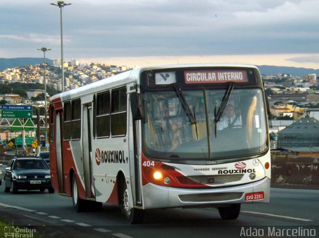 Rouxinol 404 na cidade de Belo Horizonte, Minas Gerais, Brasil, por Adão Raimundo Marcelino. ID da foto: 5198459.