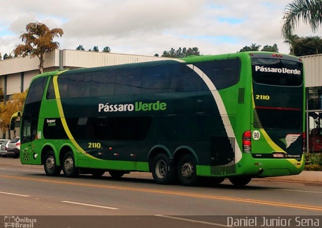 Pássaro Verde 2110 na cidade de Ouro Preto, Minas Gerais, Brasil, por Daniel Junior Sena. ID da foto: 5199998.