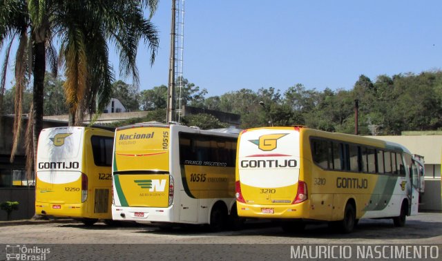 Empresa Gontijo de Transportes 12250 na cidade de Belo Horizonte, Minas Gerais, Brasil, por Maurício Nascimento. ID da foto: 5200472.