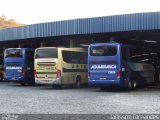 Viação Águia Branca 13925 na cidade de Juiz de Fora, Minas Gerais, Brasil, por Tailisson Fernandes. Número da foto: #:id.