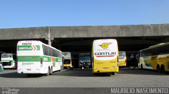 Empresa Gontijo de Transportes 11920 na cidade de Belo Horizonte, Minas Gerais, Brasil, por Maurício Nascimento. ID da foto: 5204029.