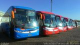 Litorânea Transportes Coletivos 5875 na cidade de Guarulhos, São Paulo, Brasil, por Cássio Moutinho de Araújo. Número da foto: #:id.